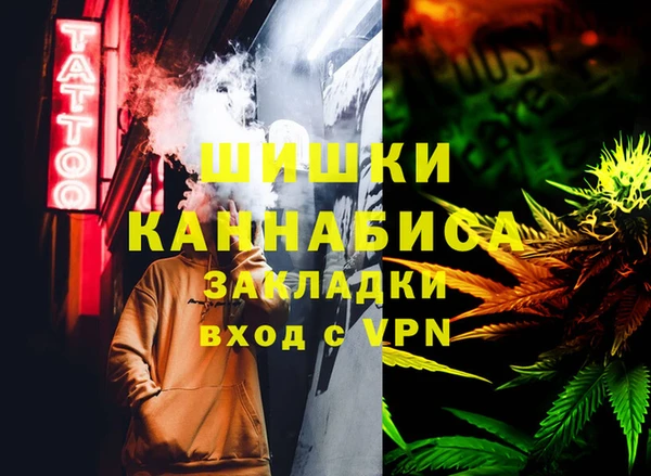 первитин Няндома