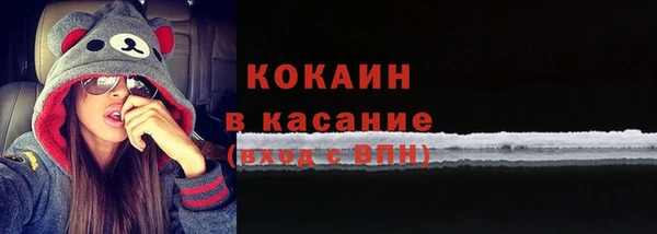 первитин Няндома