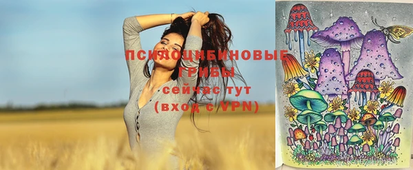 ГАЛЛЮЦИНОГЕННЫЕ ГРИБЫ Нягань