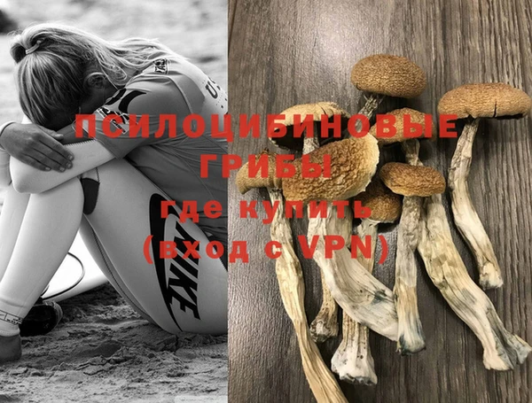 ГАЛЛЮЦИНОГЕННЫЕ ГРИБЫ Нягань