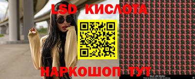 прущие грибы Абакан