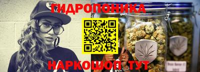 прущие крисы Абинск