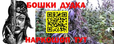 прущие крисы Абинск