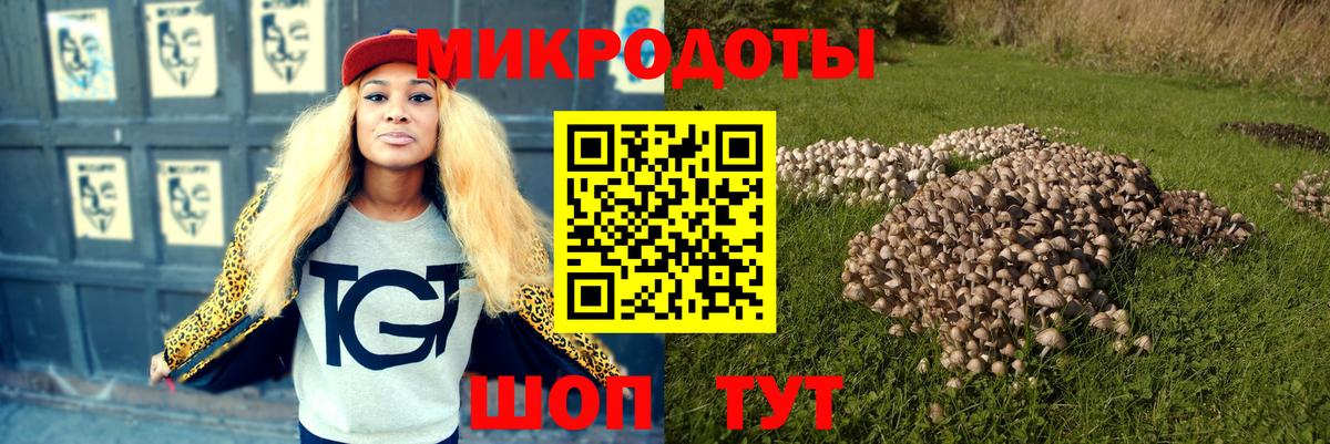 Галлюциногенные грибы Psilocybe Анапа
