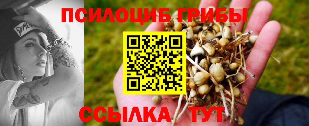 Псилоцибиновые грибы Magic Shrooms  Псилоцибиновые грибы ЛСД  Анапа  закладка  Вход с VPN 